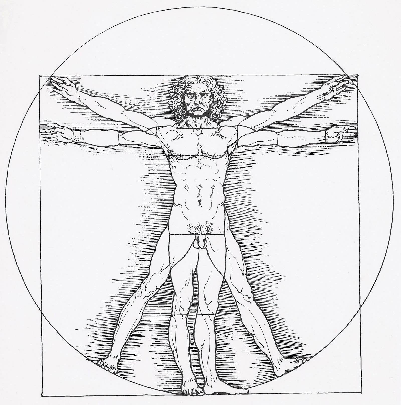 Anatomie der Muskeln: Eine einfache Erklärung